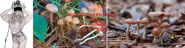 MDMA Premium VHQ Верхнеуральск