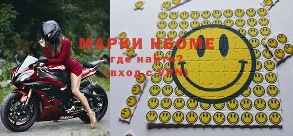 гашик Вяземский