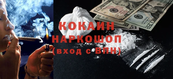 гашик Вяземский