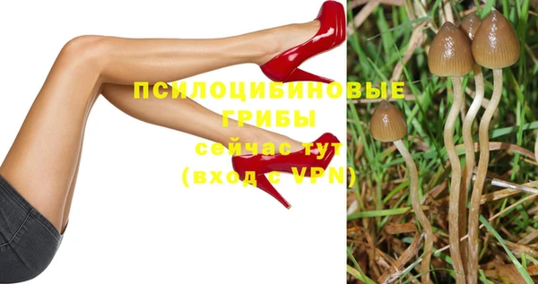 мяу мяу кристалл Верея